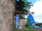 TRU樹木雷達、Picus 3和TreeQinetic樹木拉伸測試儀落戶長春市園林植物保護站